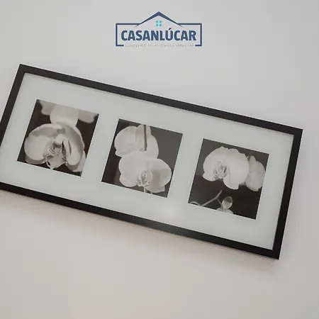 Carmen Viejo Bajo